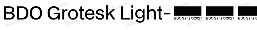 BDO Grotesk Light字体转换